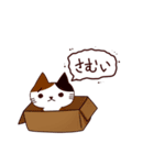 猫の毎日（個別スタンプ：25）