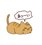 猫の毎日（個別スタンプ：26）