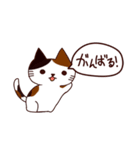 猫の気持ち日本語（個別スタンプ：2）