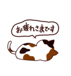 猫の気持ち日本語（個別スタンプ：5）