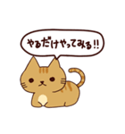 猫の気持ち日本語（個別スタンプ：7）