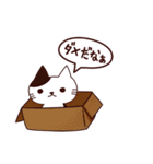 猫の気持ち日本語（個別スタンプ：27）