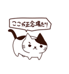 猫の気持ち日本語（個別スタンプ：29）