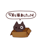 カワイイ猫 日本語（個別スタンプ：8）