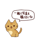 カワイイ猫 日本語（個別スタンプ：10）