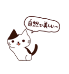 カワイイ猫 日本語（個別スタンプ：20）