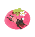 フレブル❤︎シェリのつぶやき（個別スタンプ：16）