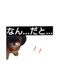 くまたそスタンプ（個別スタンプ：5）
