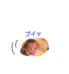 くまたそスタンプ（個別スタンプ：18）