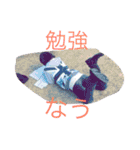 うちゃーしの丸い夜（個別スタンプ：30）