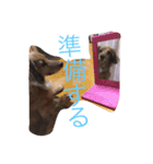 ㌧㌧（個別スタンプ：3）