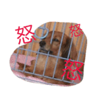 ㌧㌧（個別スタンプ：6）