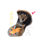 さむ。（個別スタンプ：1）