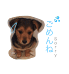 さむ。（個別スタンプ：3）