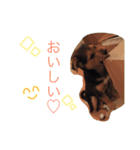 さむ。（個別スタンプ：5）
