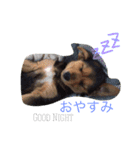 さむ。（個別スタンプ：8）
