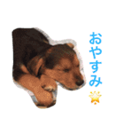 さむ。（個別スタンプ：9）