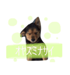 さむ。（個別スタンプ：14）