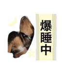 さむ。（個別スタンプ：15）