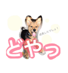 さむ。（個別スタンプ：18）