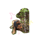 さむ。（個別スタンプ：19）