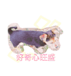 さむ。（個別スタンプ：21）