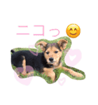 さむ。（個別スタンプ：22）