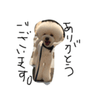 happyの1日（個別スタンプ：14）