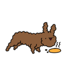 Poodle Soi 1（個別スタンプ：1）