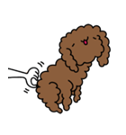 Poodle Soi 1（個別スタンプ：5）