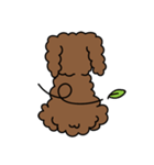 Poodle Soi 1（個別スタンプ：7）
