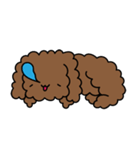 Poodle Soi 1（個別スタンプ：8）