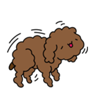 Poodle Soi 1（個別スタンプ：9）
