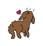 Poodle Soi 1（個別スタンプ：10）