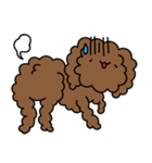 Poodle Soi 1（個別スタンプ：11）