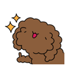 Poodle Soi 1（個別スタンプ：15）