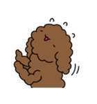 Poodle Soi 1（個別スタンプ：17）