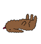 Poodle Soi 1（個別スタンプ：18）