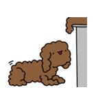 Poodle Soi 1（個別スタンプ：21）