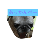 ウィンの日常（個別スタンプ：3）