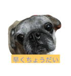 ウィンの日常（個別スタンプ：6）
