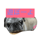 ウィンの日常（個別スタンプ：7）