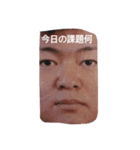 あほです（個別スタンプ：1）