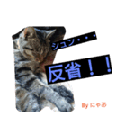リアル にゃあ（個別スタンプ：6）