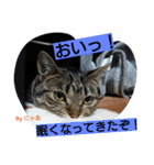 リアル にゃあ（個別スタンプ：10）