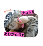 リアル にゃあ（個別スタンプ：11）