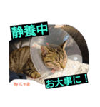 リアル にゃあ（個別スタンプ：14）