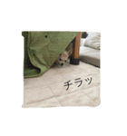とみの日常（個別スタンプ：5）