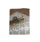 とみの日常（個別スタンプ：10）