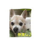 とみの日常（個別スタンプ：15）